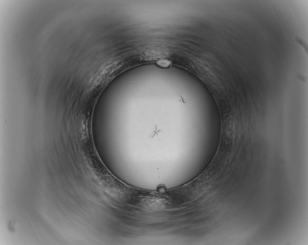 X0000100420743200806131058