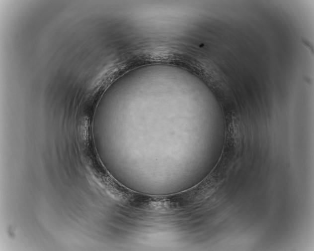 X0000100420744200806131058