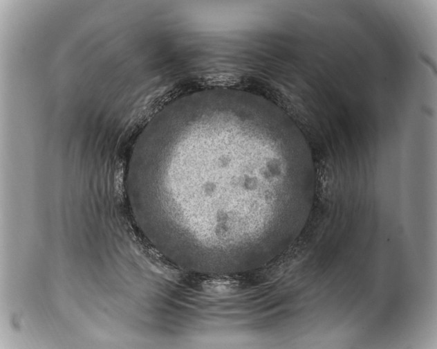X0000100420745200806131058