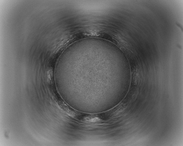 X0000100420747200806131058