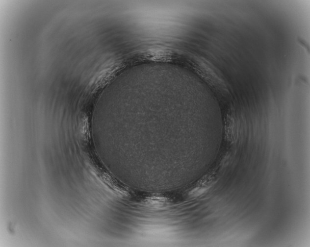 X0000100420748200806131058