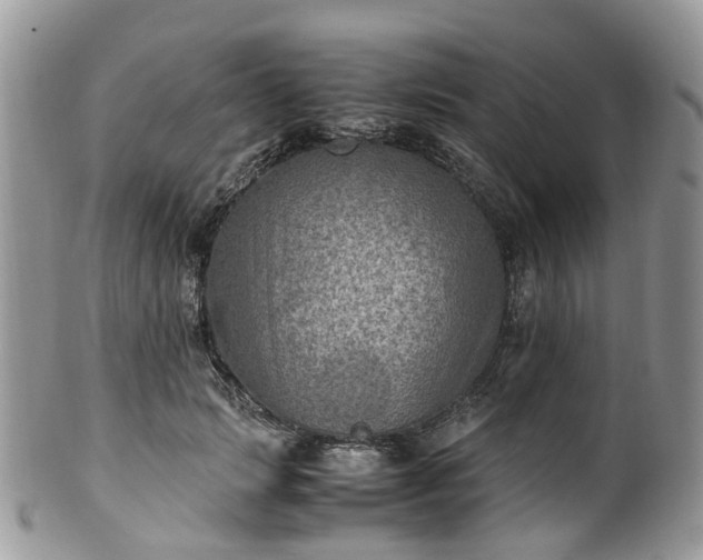 X0000100420749200806131058