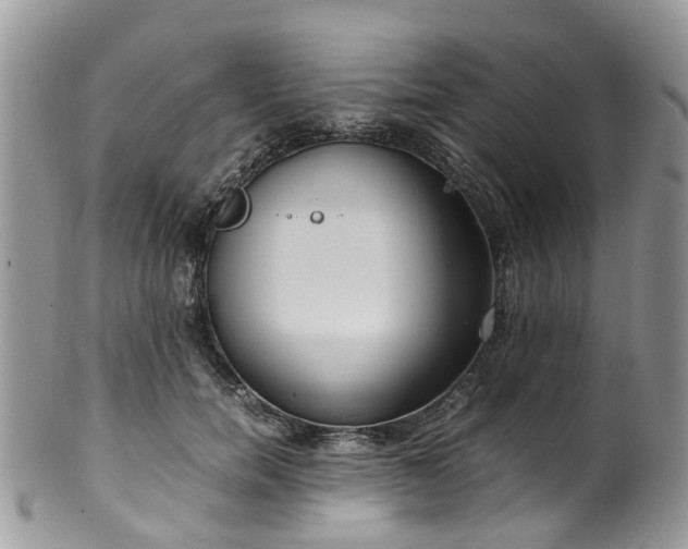 X0000100420750200806131058