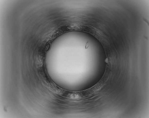 X0000100420751200806131058