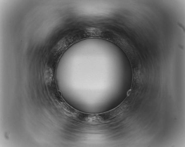 X0000100420752200806131058