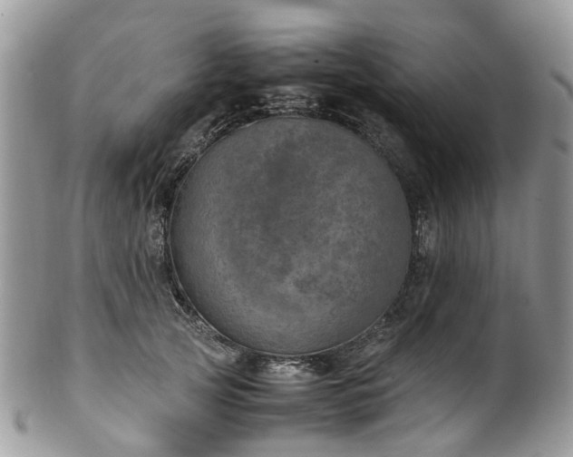 X0000100420753200806131058