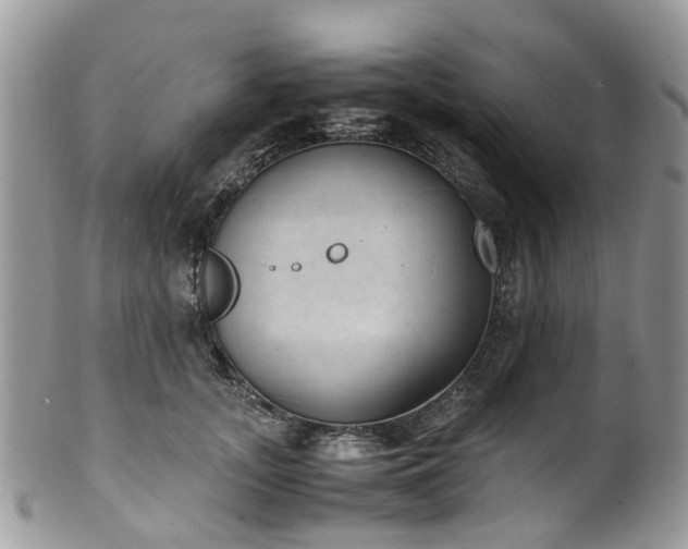 X0000100420755200806131058
