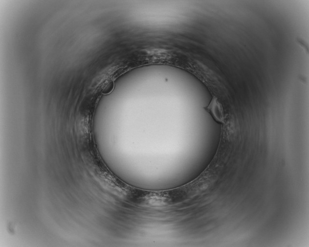X0000100420756200806131058