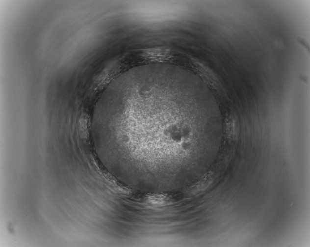 X0000100420757200806131058