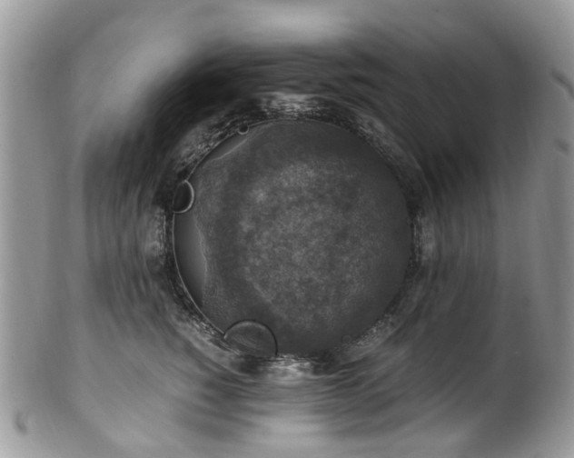 X0000100420760200806131059