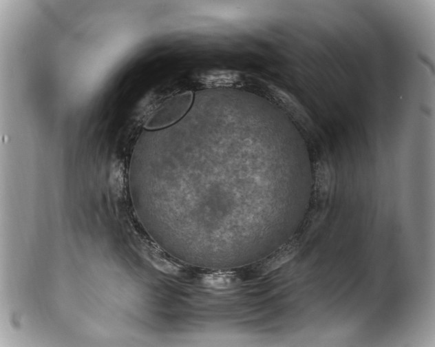 X0000100420761200806131059