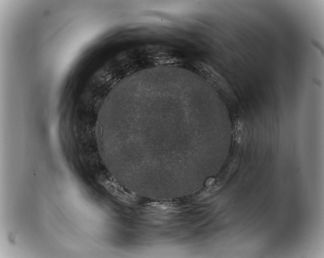 X0000100420763200806131059