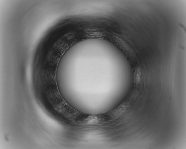 X0000100420764200806131059