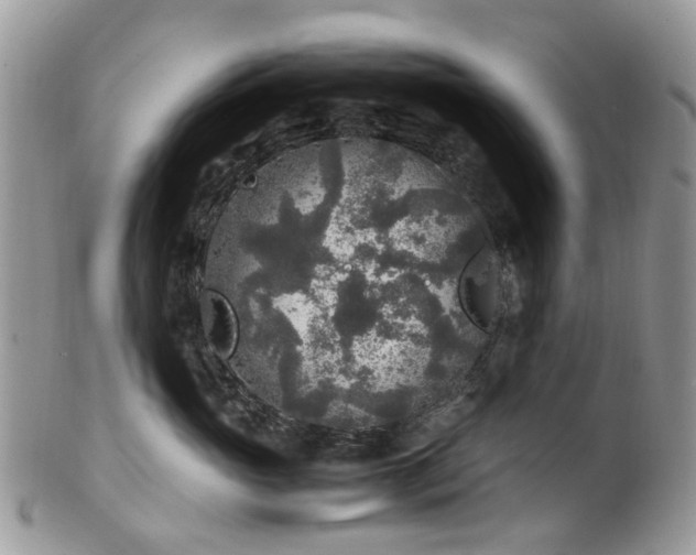 X0000100420765200806131059