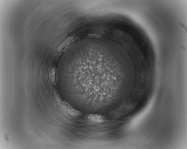 X0000100420767200806131059