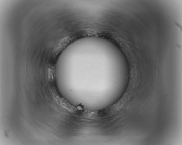 X0000100420768200806131059