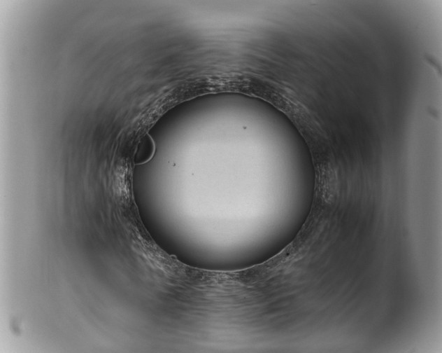 X0000100420770200806131058