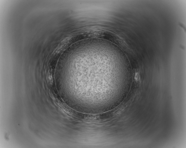 X0000100420771200806131058