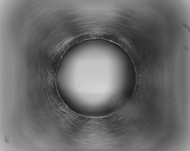 X0000100420773200806131058
