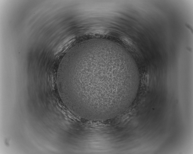 X0000100420774200806131058