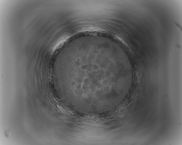 X0000100420775200806131058
