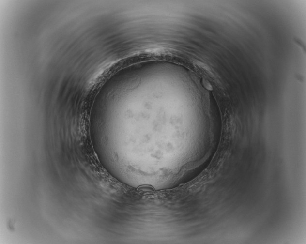 X0000100420776200806131058