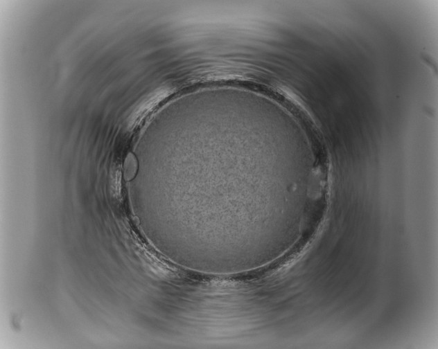 X0000100420777200806131058