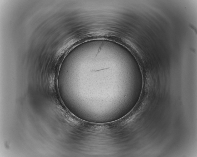 X0000100420778200806131058