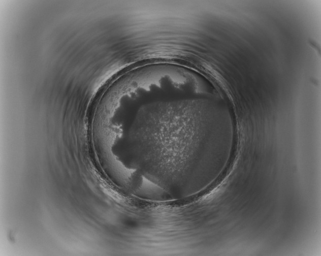 X0000100420779200806131058