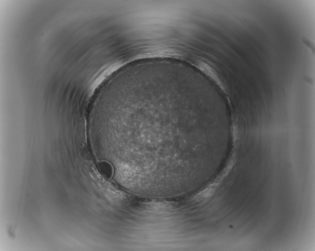 X0000100420781200806131058
