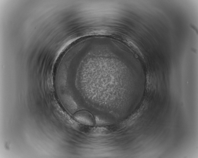X0000100420784200806131058