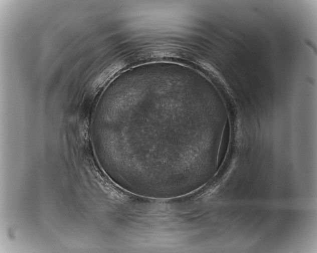 X0000100420785200806131058