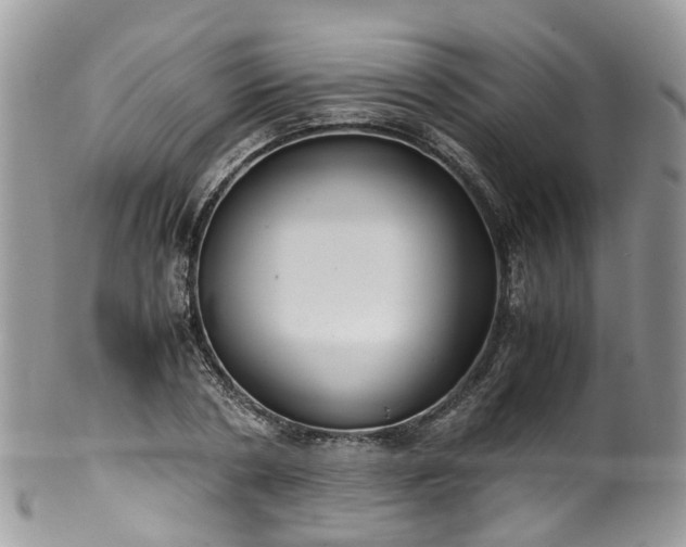 X0000100420786200806131058