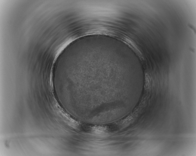 X0000100420788200806131058