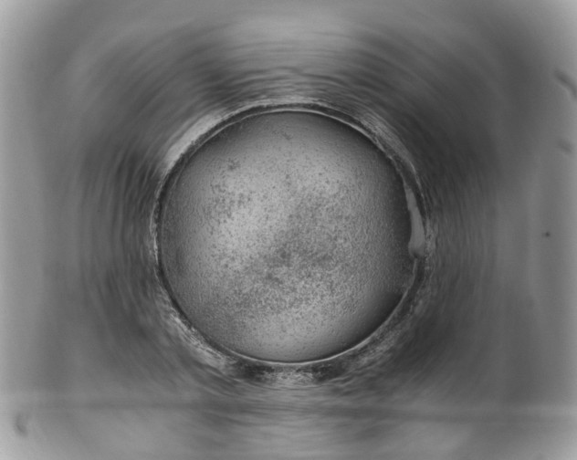 X0000100420789200806131058