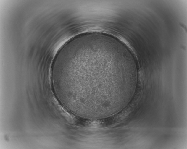 X0000100420791200806131058