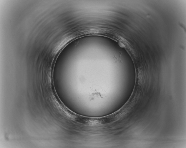 X0000100420794200806131057