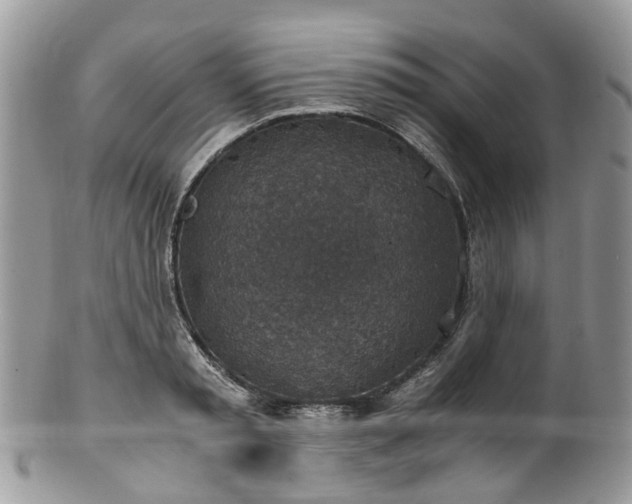 X0000100420797200806131057