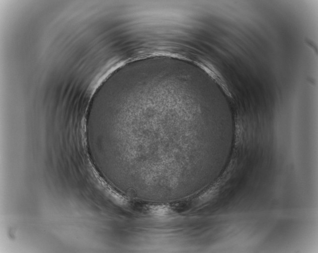 X0000100420798200806131057