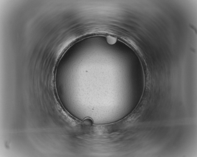 X0000100420799200806131057