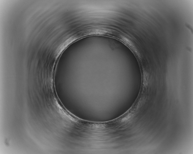 X0000100420802200806131057