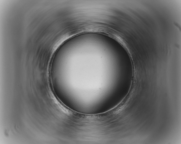 X0000100420803200806131057