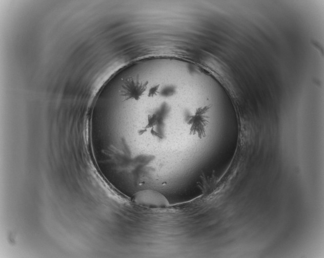 X0000100420804200806131057