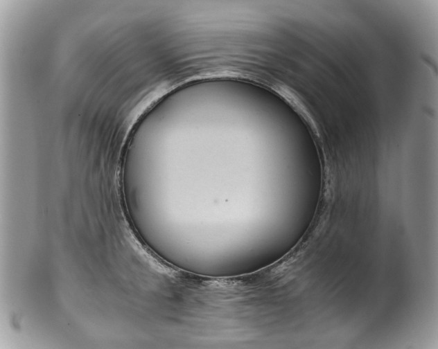 X0000100420805200806131057