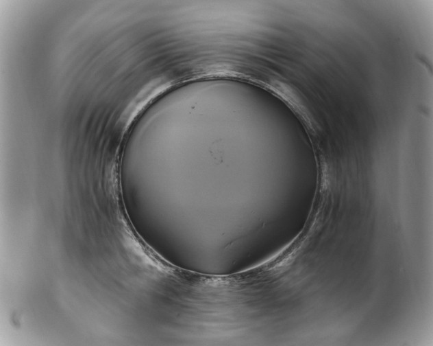X0000100420806200806131057
