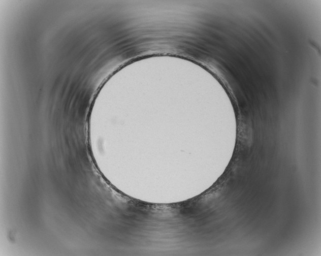 X0000100420807200806131057