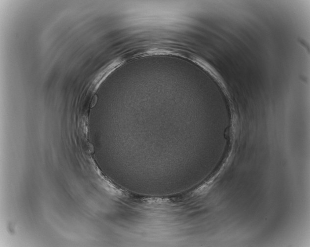 X0000100420809200806131057