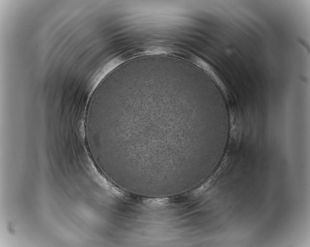 X0000100420810200806131057