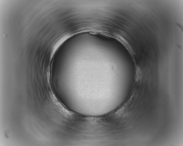 X0000100420812200806131057