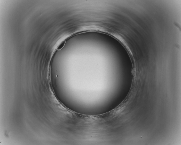 X0000100420815200806131057